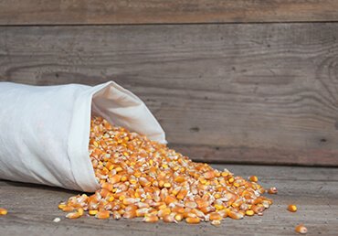 Animal Feed                